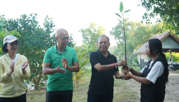 Tanam Mangrove Bersama Jamintel Kejagung dan Kejati Bali, Gubernur Koster Ajak Sinergi Tingkatkan Cakupan Ruang Hijau Bali